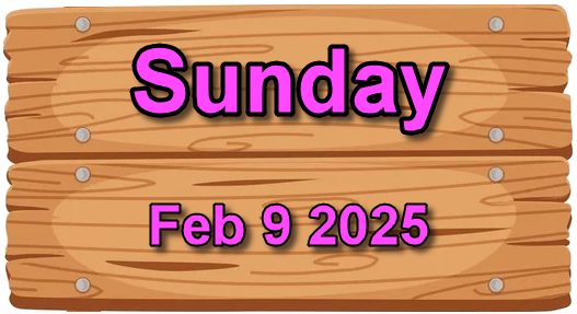 Pinball at the Beach - February 7th, 2025